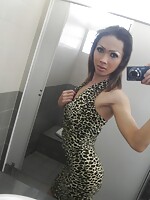 shemale stars